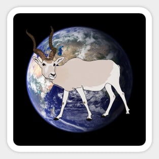 Fabulous planet of diversity : ADDAX Sticker